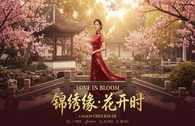 呦呦视频精选视频 - 都市情缘